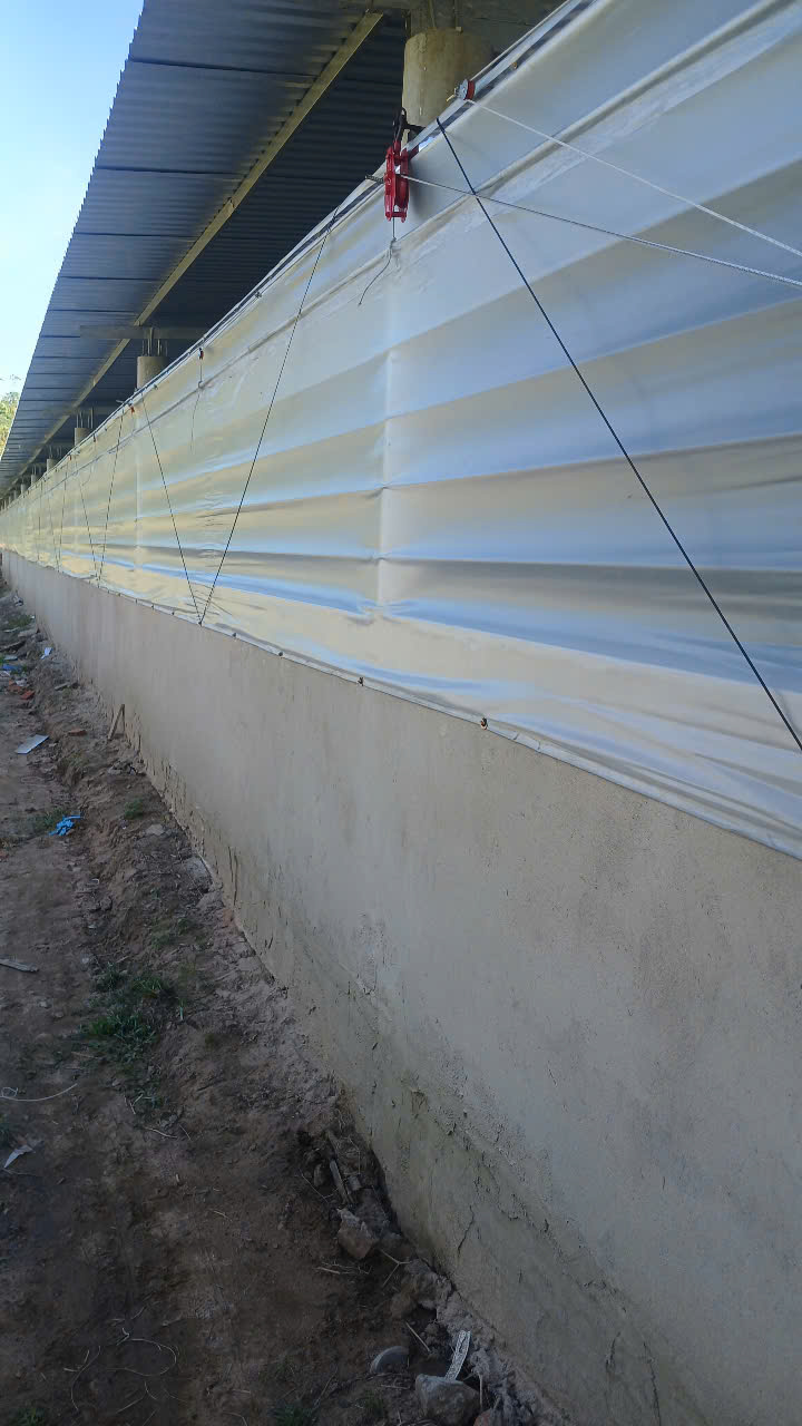 Bạt thái trắng đục dùng căng hông che nắng và lấy sáng cho trang trại 1.8x100m hoặc 2x100M