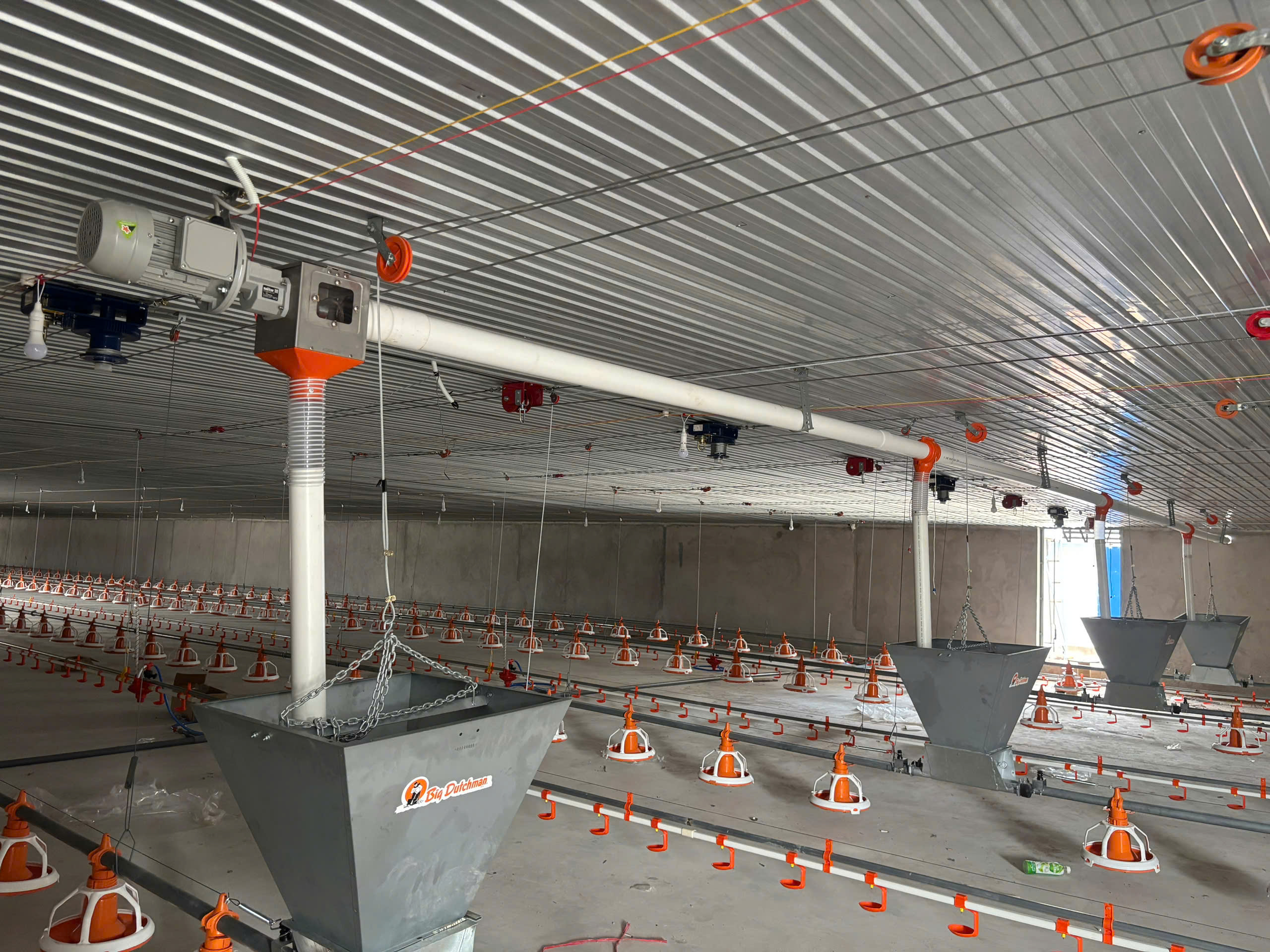 ĐƯỜNG TRUNG CHUYỂN CÁM TỪ BỒN SILO VÀ BÊN TRONG TRẠI GÀ DÀI 19M