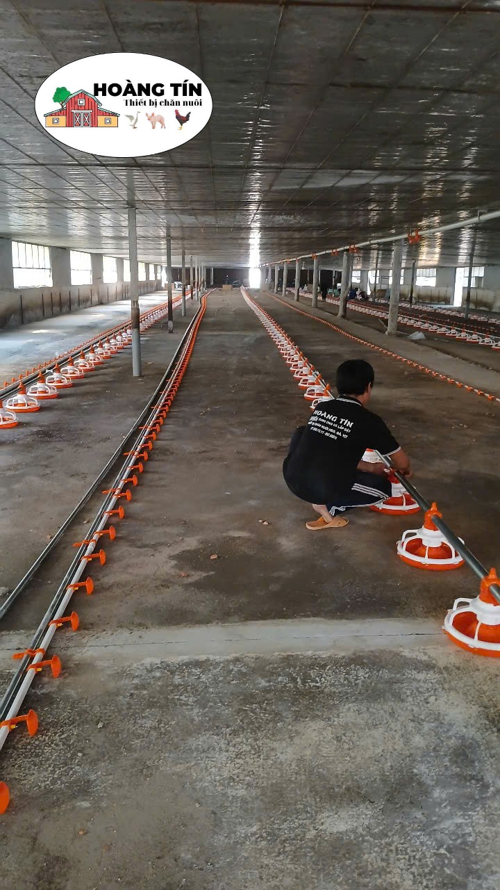 MÁNG ĂN CHO GÀ THỊT ( MÁNG 7 -14 Ô)