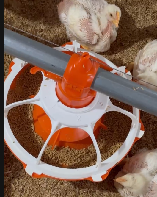 MÁNG ĂN TỰ ĐỘNG CHO GÀ 7 Ô