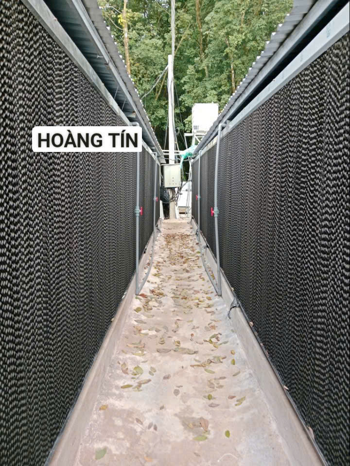 Tấm làm mát chống rêu 1800 x 600 x 150 (VN)