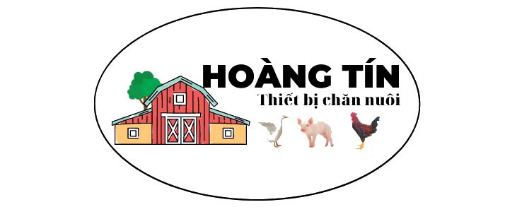 logo Channuoihoangtin.com