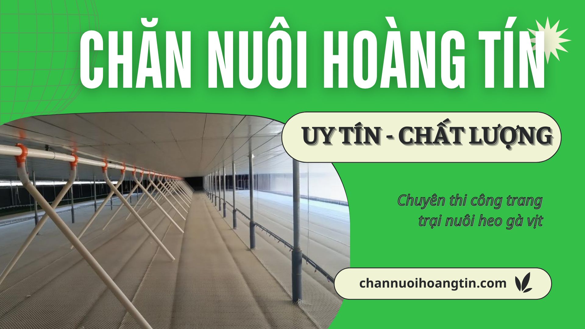 Channuoihoangtin.com