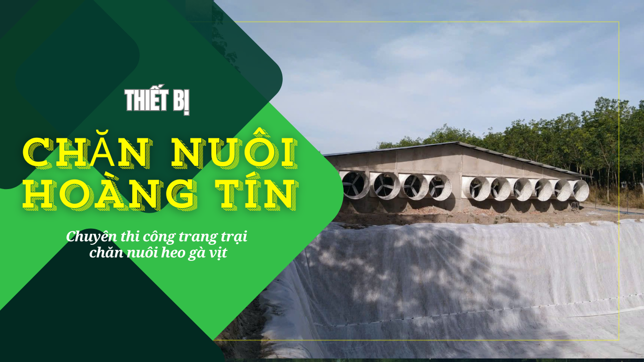 Channuoihoangtin.com