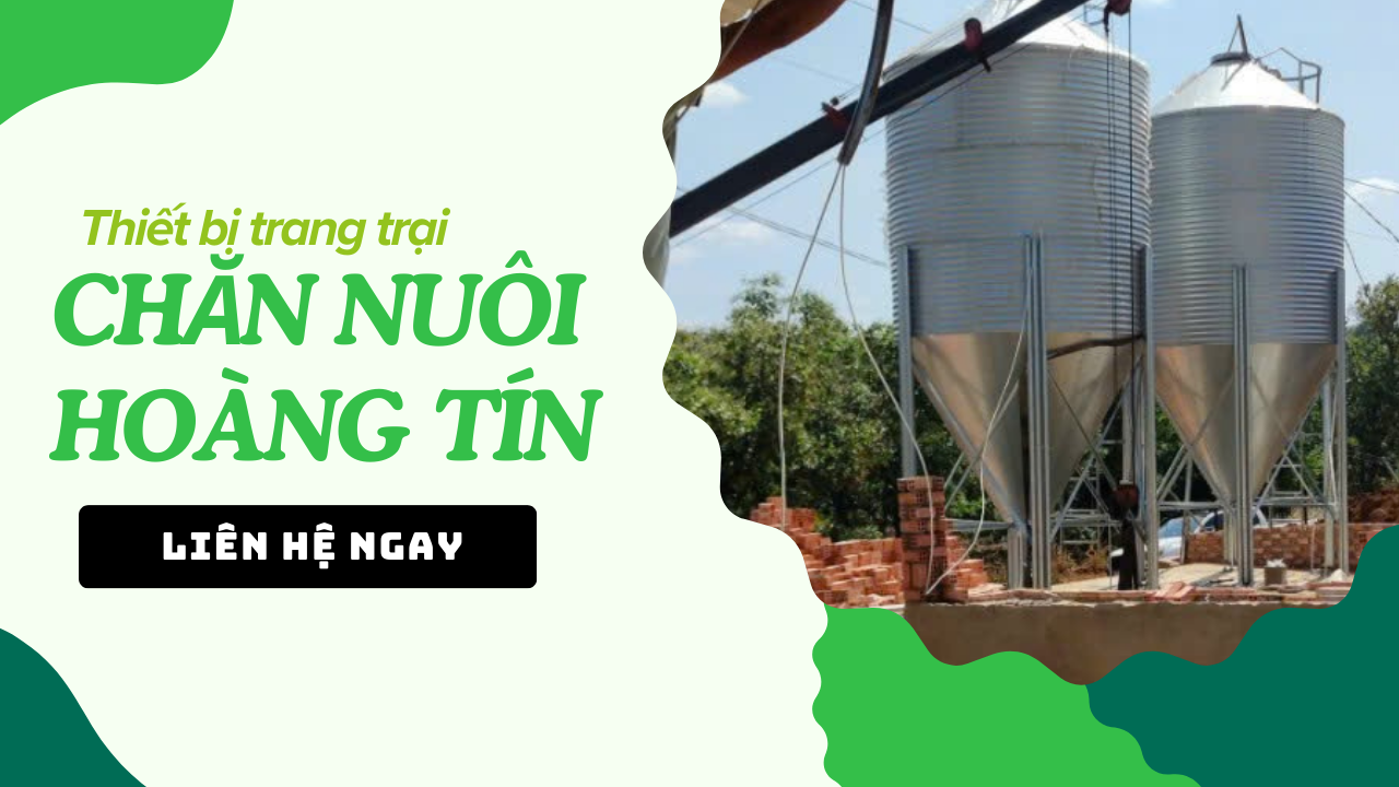 Channuoihoangtin.com