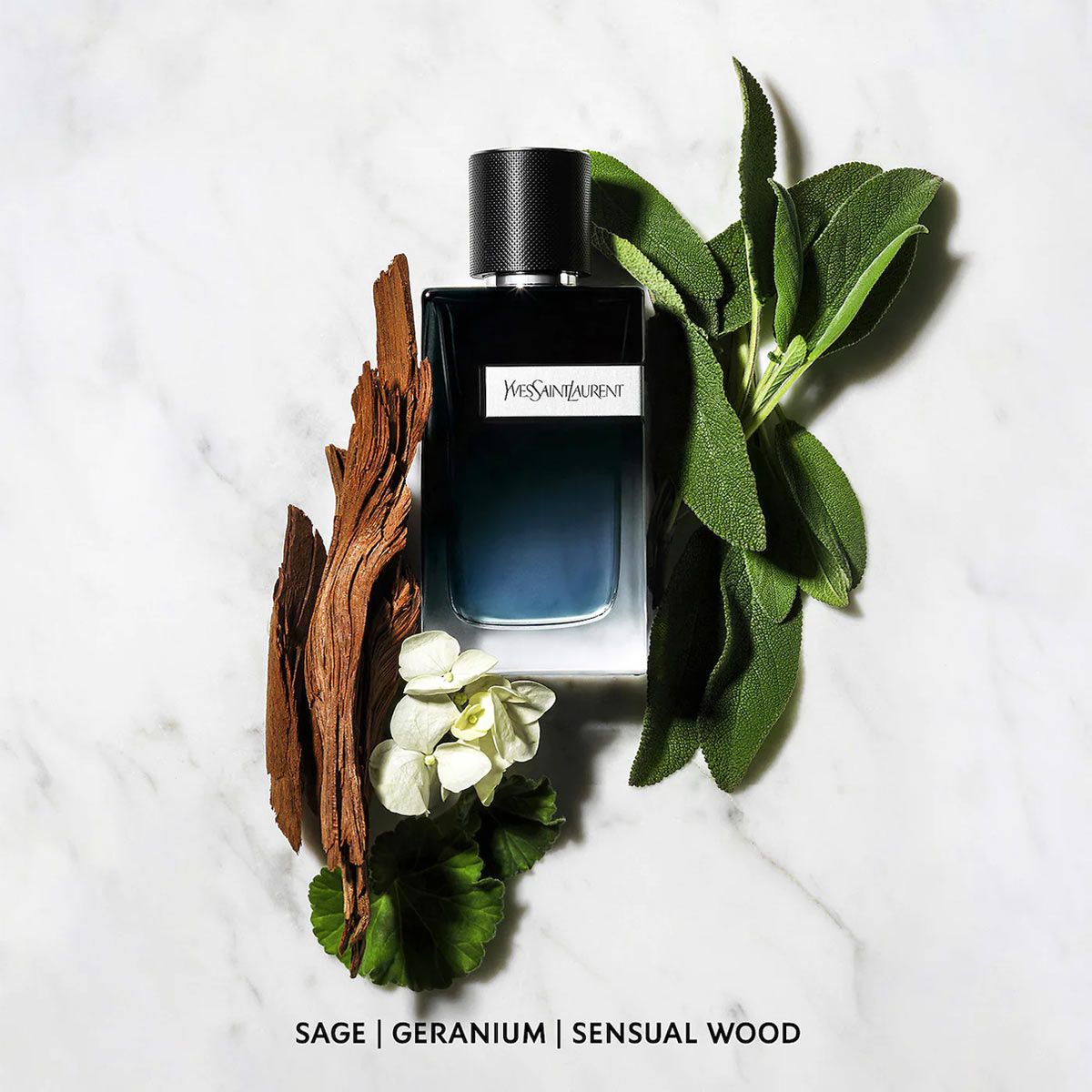 Full 100ml - Nước hoa nam Yves Saint Laurent YSL Y EDP