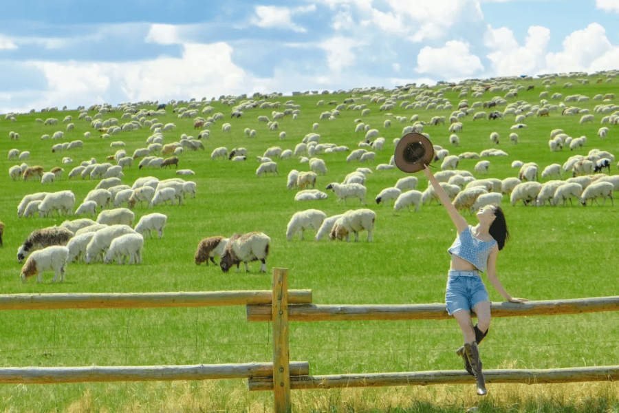 Du lịch Nội Mông và những điều nhất định cần biết