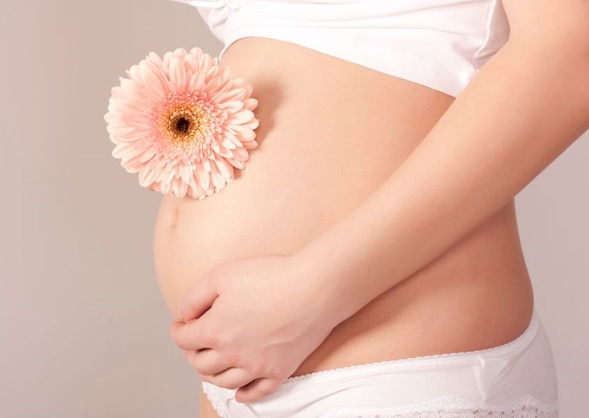 Lá Mít: Giải Pháp Tăng Cường Sữa Mẹ Sau Sinh Lá Mít: Giải Pháp Tăng Cường Sữa Mẹ Sau Sinh