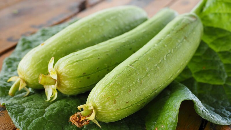 Quả Mướp và Công Dụng Tuyệt Vời Đối Với Sức Khỏe Mà Bạn Chưa Biết Quả Mướp và Công Dụng Tuyệt Vời Đối Với Sức Khỏe Mà Bạn Chưa Biết
