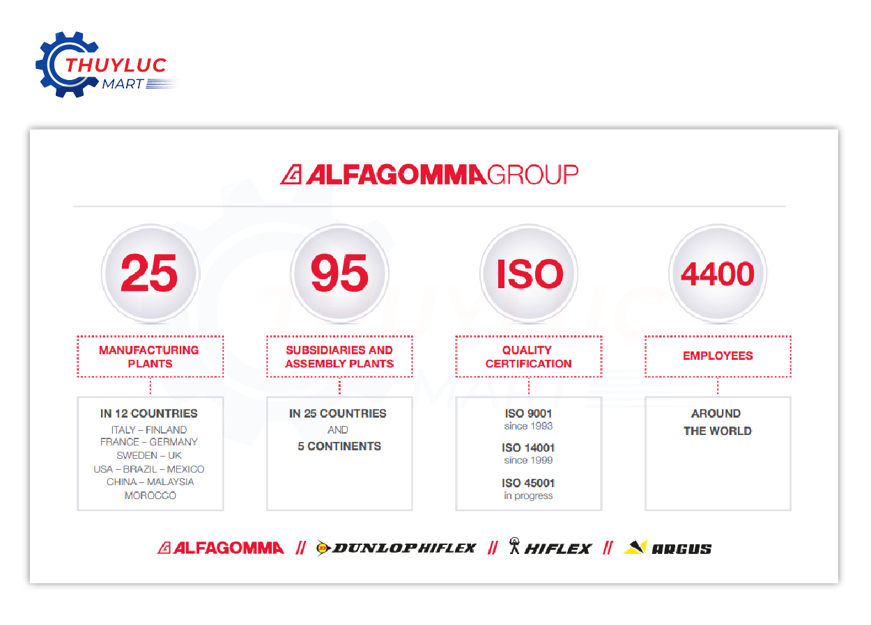Lịch sử hình thành Alfagomma