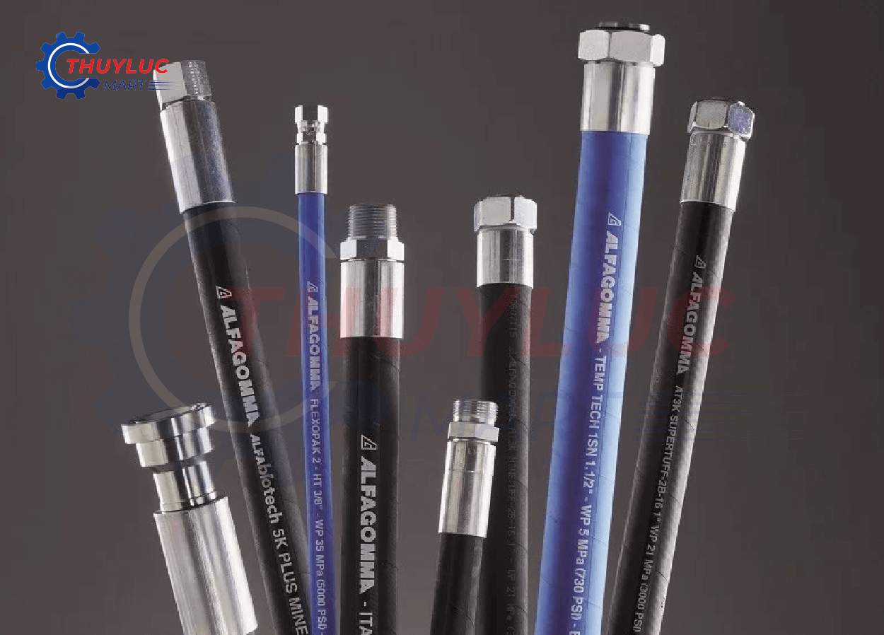 đầu bấm inox
