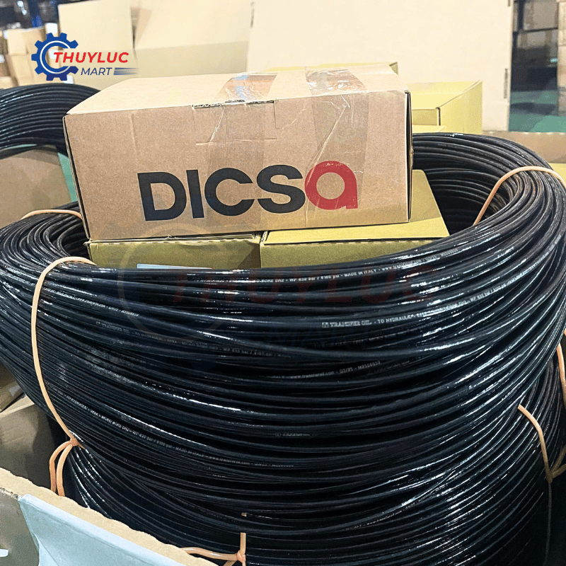 Ống kiểm tra áp lực DN2 Dicsa, MT01002