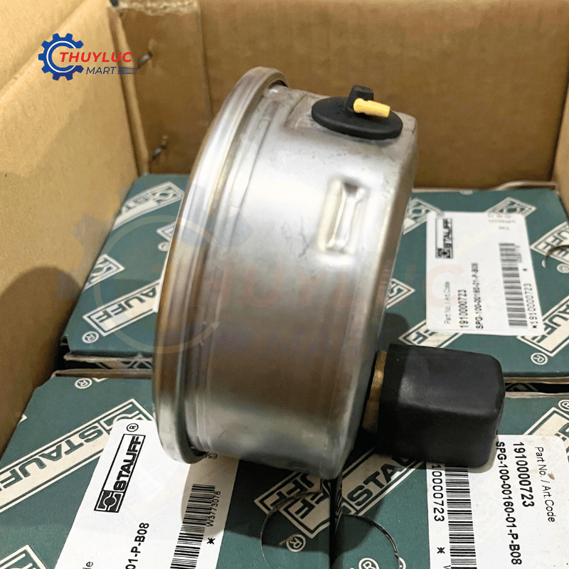 Đồng hồ đo áp suất D100. 160bar, chân lưng, SPG-100-00160-01-P-B08