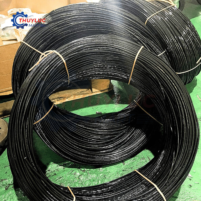 Ống kiểm tra áp lực DN2 Dicsa, MT01002