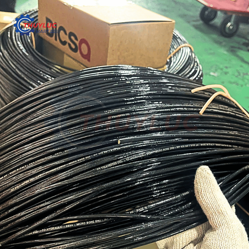 Ống kiểm tra áp lực DN2 Dicsa, MT01002