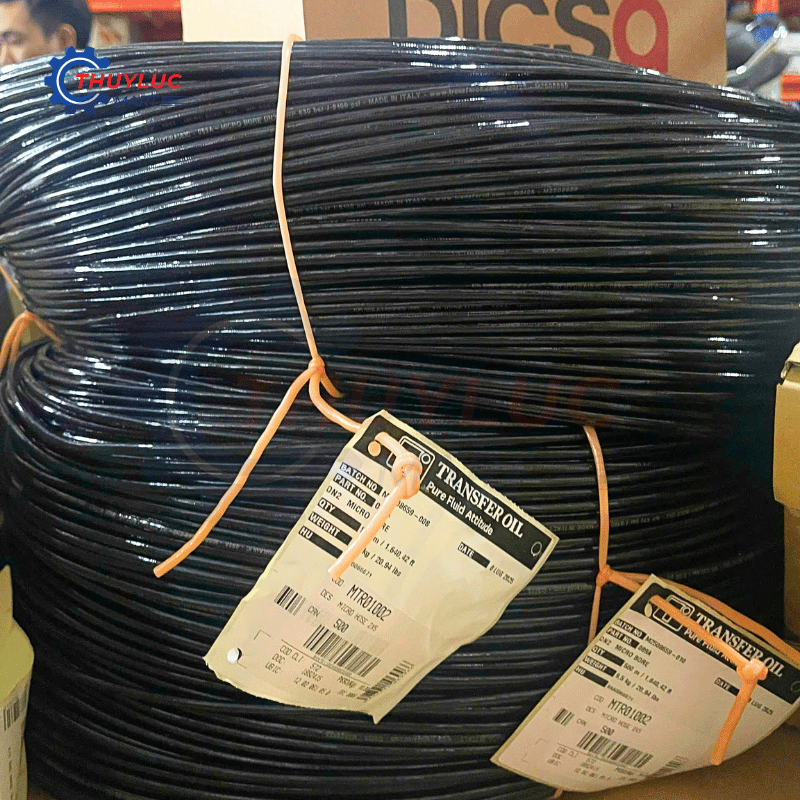 Ống kiểm tra áp lực DN2 Dicsa, MT01002