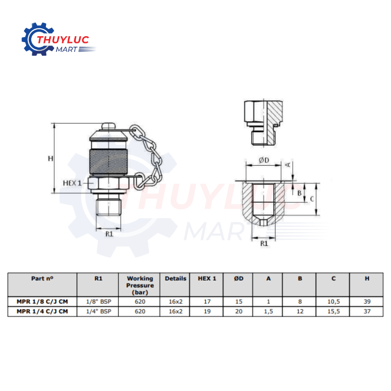 Đầu kiểm tra áp lực Dicsa M16x2 - G1/8'', MPR 1/8 C/J CM
