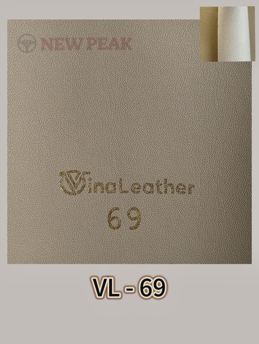 DA NAPPA KIM NHẬT - VL 69