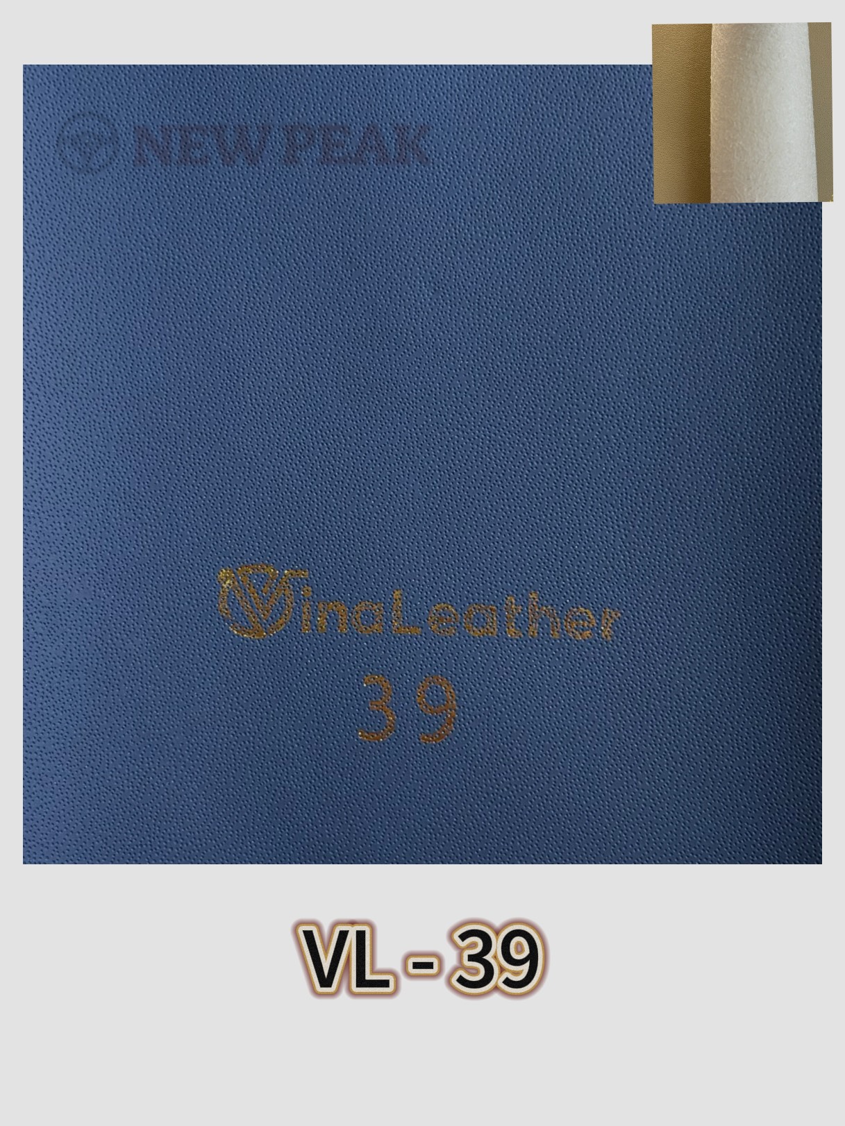 DA NAPPA KIM NHẬT - VL 39