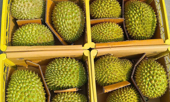 Vietnam faces challenges in agricultural exports for 2025