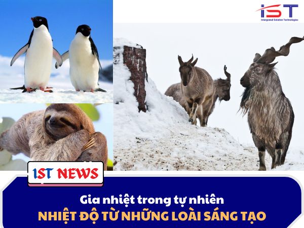 Gia nhiệt trong thế giới tự nhiên: Nhiệt độ từ những loài sáng tạo