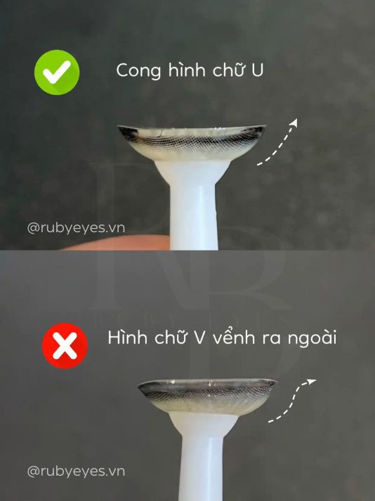 dat-lens-tren-cay-deo-lens