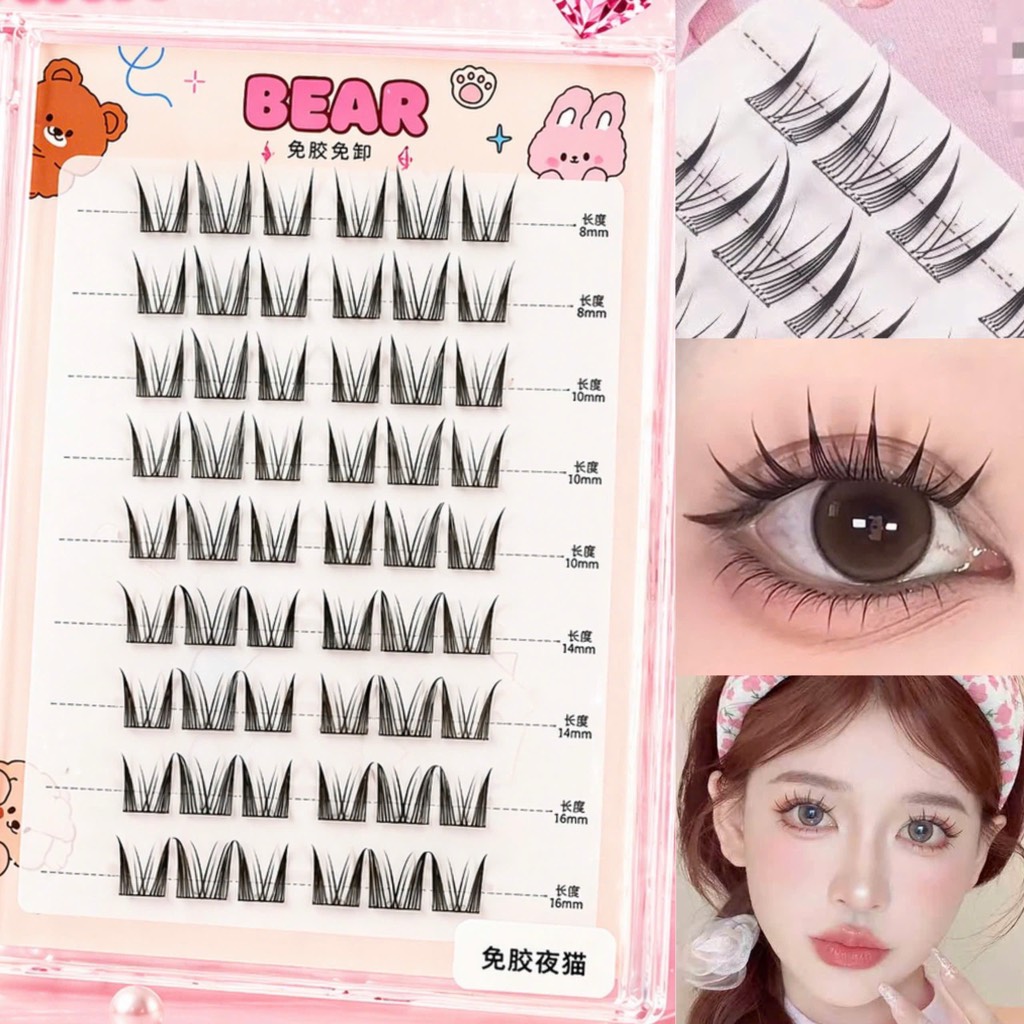 Tổng Hợp Mi Giả 10 Hàng Sẵn Keo