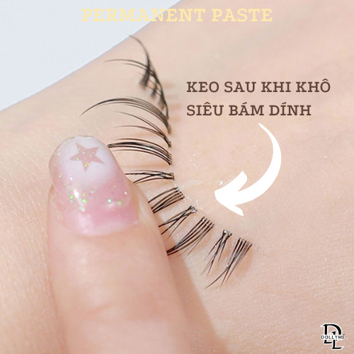 Keo Dán Mi Cao Cấp Dollymi