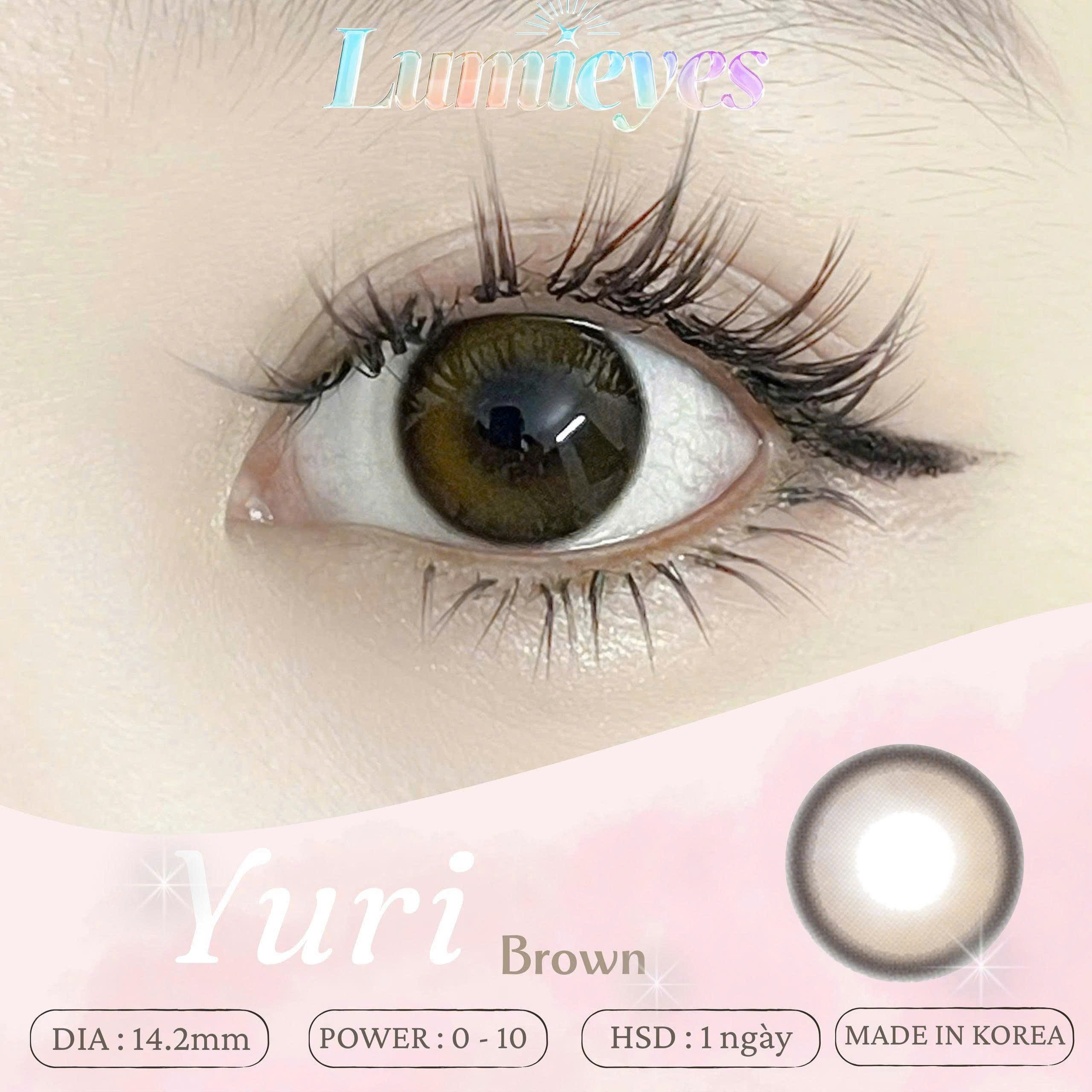 Lens 1 Ngày Màu Nâu Yuri Brown 14.2mm