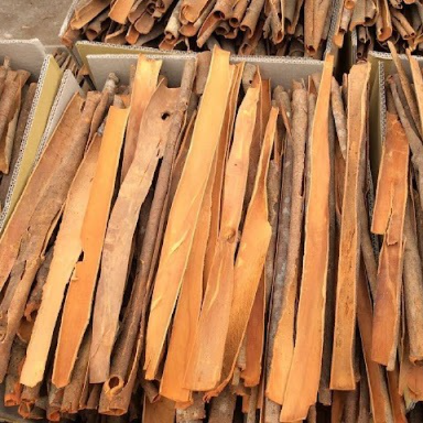 Split Cassia