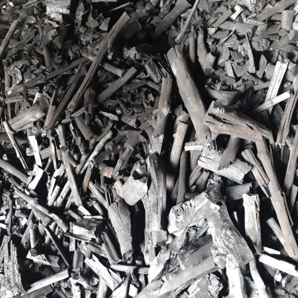 Mangrove Charcoal