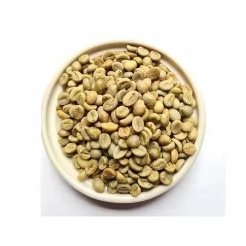 Robusta Dak Lak (Clear)- Green
