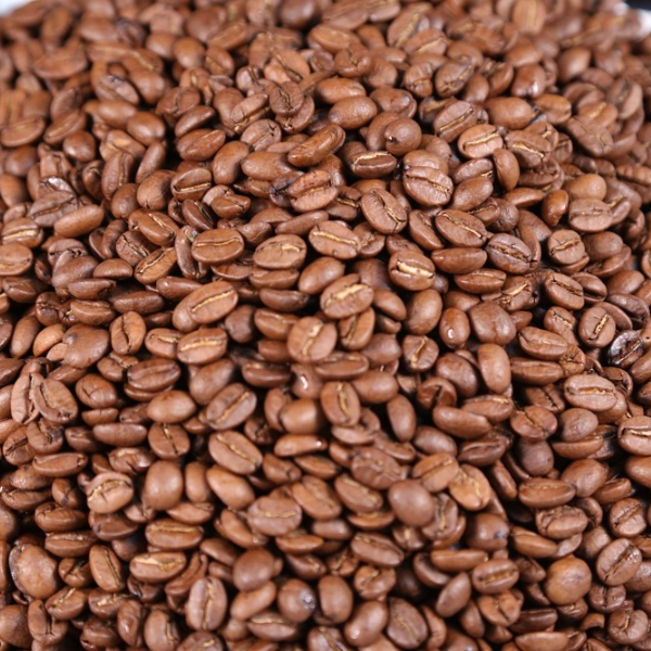 Arabica Son La (S16-S18) - Roasted