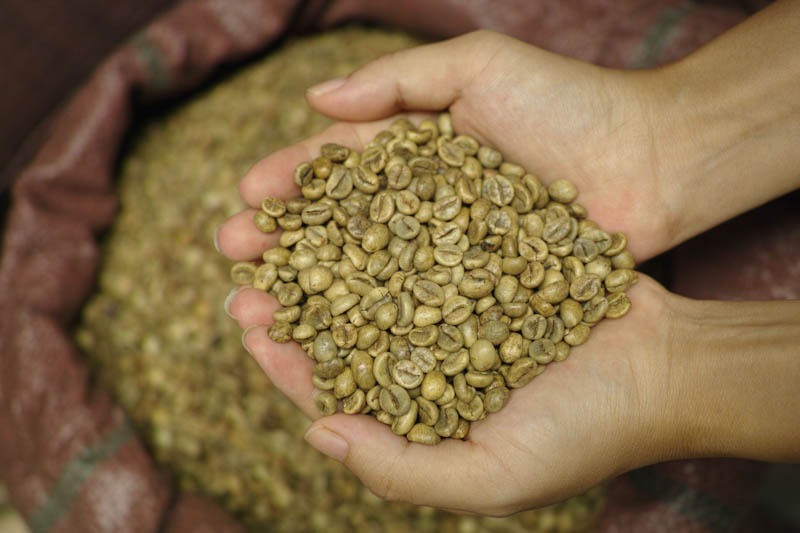 Arabica Coffee Lam Dong (Sàng 16-18)- Green