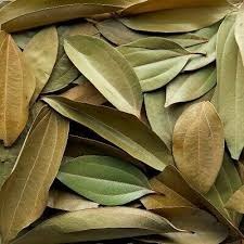 Cassia Leaf