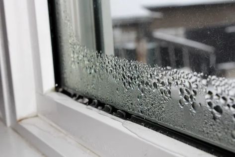 Mách bạn 7 mẹo giúp nhà cửa luôn khô ráo khi trời nồm