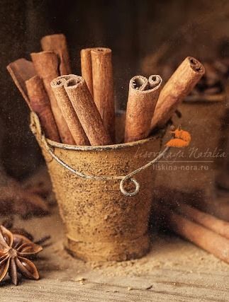 Khám phá lợi ích tuyệt vời của Quế trong chăm sóc nhà cửa lẫn sức khỏe