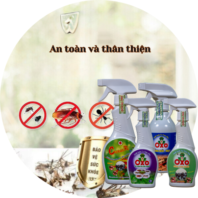 Chiết xuất từ thảo mộc