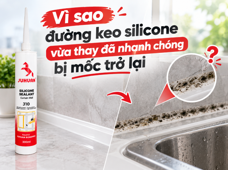 VÌ SAO ĐƯỜNG KEO SILICONE VỪA THAY ĐÃ NHANH CHÓNG BỊ MỐC TRỞ LẠI?