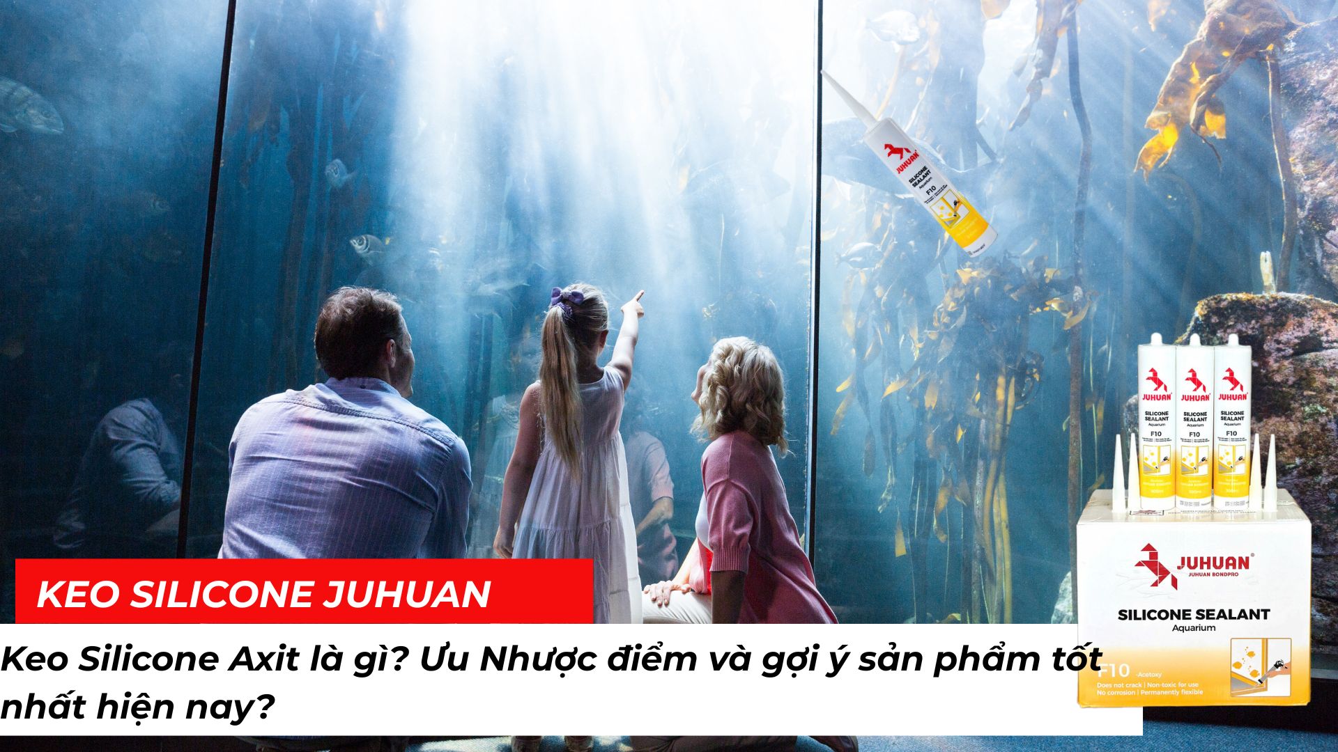 Keo silicone axit là gì? Ưu Nhược điểm và gợi ý sản phẩm tốt nhất hiện nay