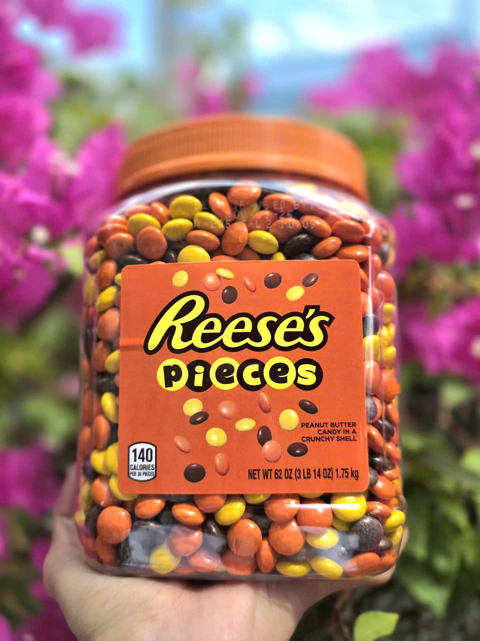 [CHÍNH HÃNG MỸ] Kẹo Nhân Bơ Đậu Phộng Reese's Pieces - Hũ Khổng Lồ 1.75kg Siêu Tiết Kiệm