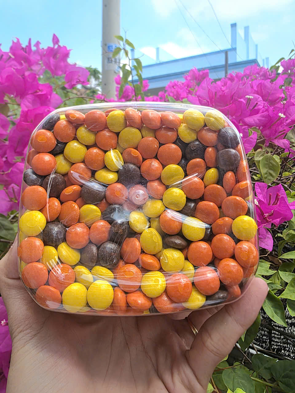 [CHÍNH HÃNG MỸ] Kẹo Nhân Bơ Đậu Phộng Reese's Pieces - Hũ Khổng Lồ 1.75kg Siêu Tiết Kiệm