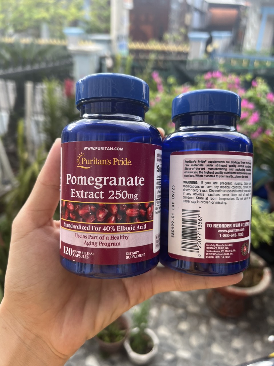 Tinh chất lựu Pomegranate Extract 250mg Puritan Pride của Mỹ