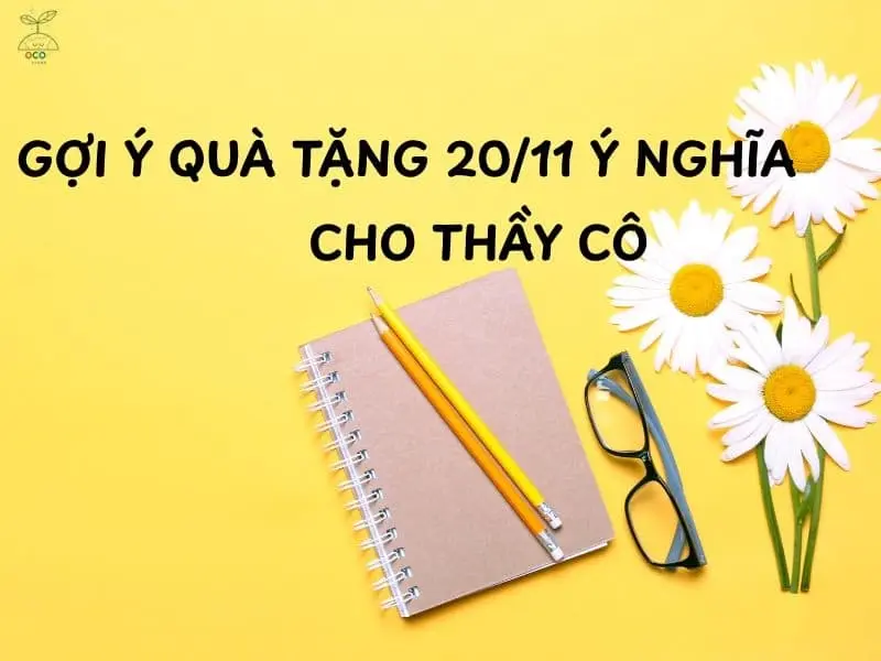 GỢI Ý QUÀ TẶNG 20/11 Ý NGHĨA CHO THẦY CÔ PHÙ HỢP NGÂN SÁCH