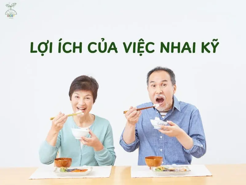 LỢI ÍCH CỦA VIỆC NHAI KỸ -  CHÌA KHOÁ NÂNG CAO TỰ CHỮA LÀNH