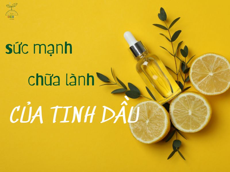 SỨC MẠNH CHỮA LÀNH CỦA TINH DẦU