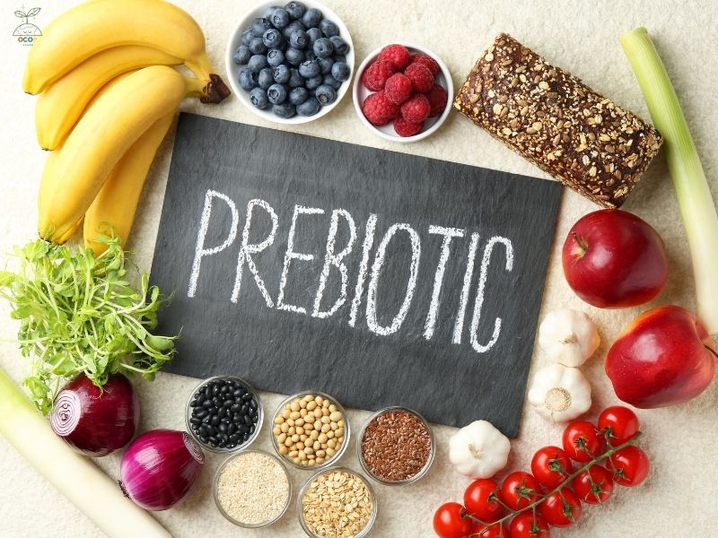 TINH BỘT KHÁNG TỪ CHUỐI XANH - LỢI ÍCH VƯỢT TRỘI HƠN CÁC LOẠI PREBIOTIC KHÁC
