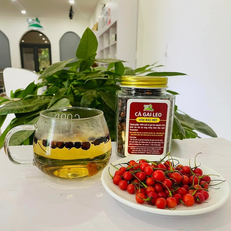 QUẢ CÀ GAI LEO THANH BÌNH 100gr