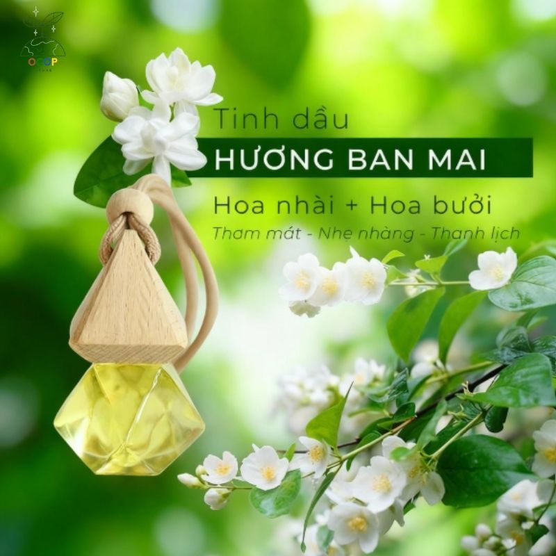 TINH DẦU TREO XE VÂN LAN 10ML