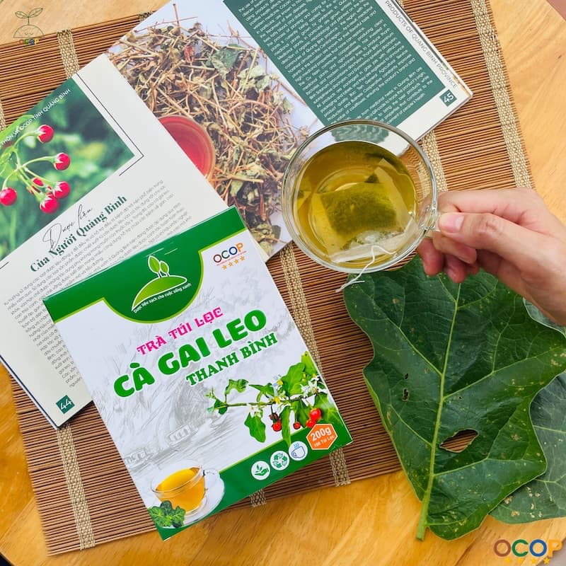 TRÀ CÀ GAI LEO THANH BÌNH TÚI LỌC 250gr